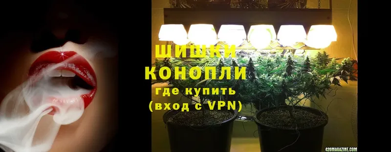 Бошки марихуана THC 21%  купить  сайты  Жирновск 